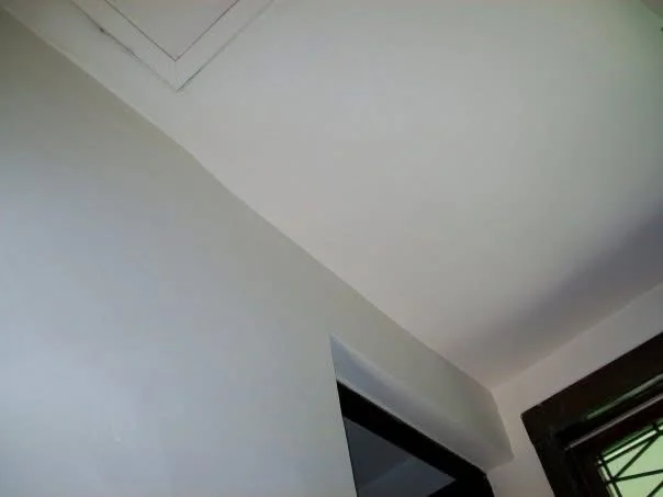 After: the same wall and ceiling corner finished as one smooth, continuous plaster surface